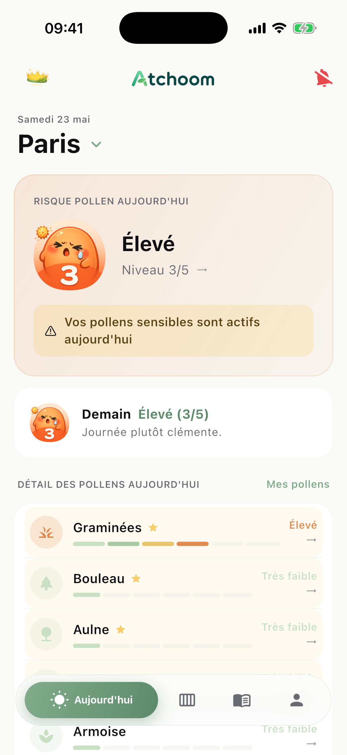 Écran d'accueil d'Atchoom : risque pollen du jour et détail par pollen